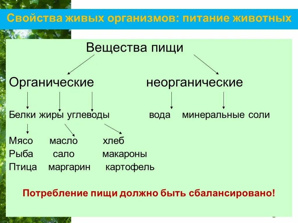 Что такое органические и неорганические вещества. Органические и неорганические вещества в живых организмах. Органические и неорганические вещества пищи. Органические вещества 5 класс. Органические вещества и неорганические вещества биология 5 класс.