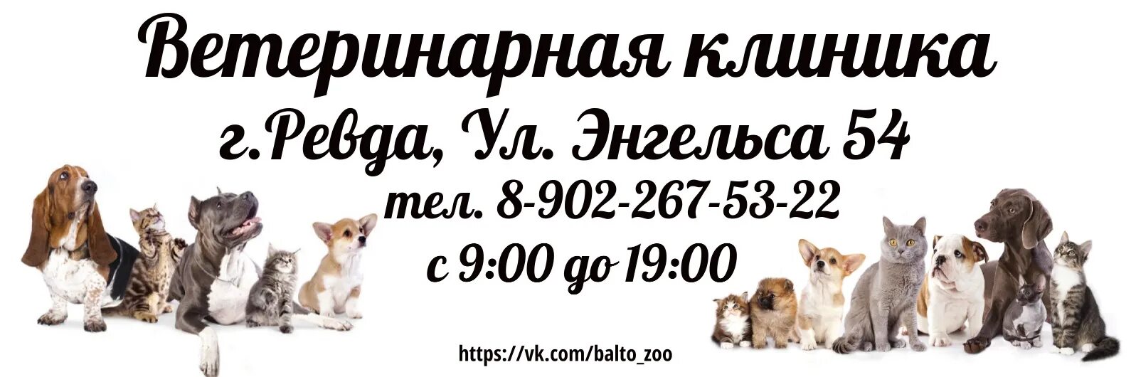 Ветеринарная клиника Ревда Энгельса 54. Ветеринарная клиника Горбенко, Ревда. Зоотовары. Ветеринар Энгельс. Ветеринарная улица энгельс