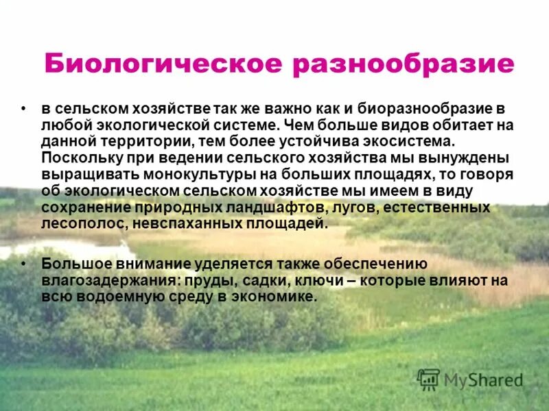 Закупочные цены на сельскохозяйственную продукцию. Устойчивое развитие сельского хозяйства. Пример закупочной цены на сельскохозяйственную продукцию. Спрос на землю. Географические типы сельского хозяйства мира.