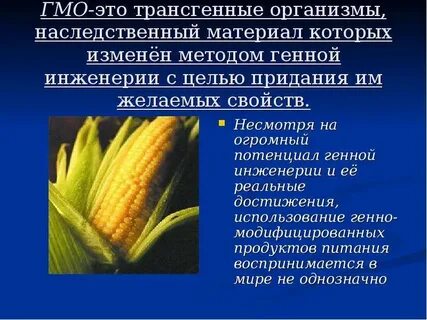 Гмо организмы