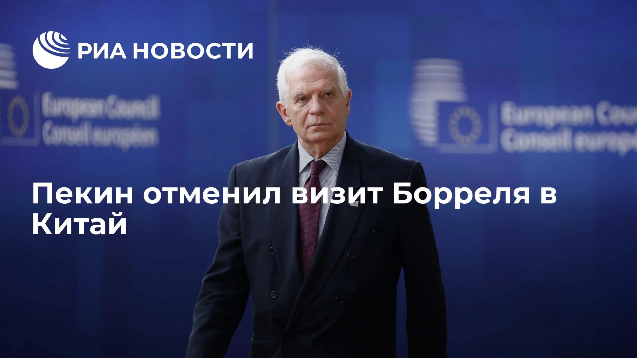 Набила массрали. Ясмин эл массри. Девушка политик марокко. Набила массрали. Набила массрали.