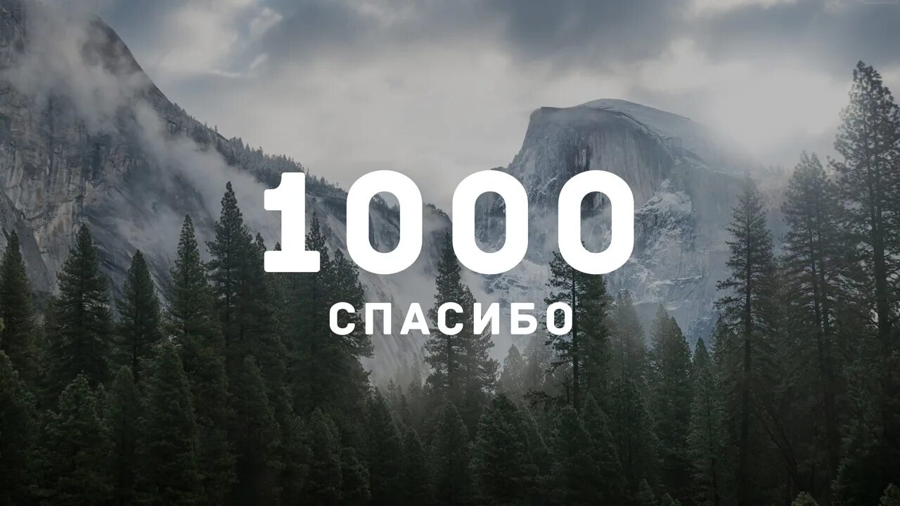 Тысяча благодарностей. Нас уже 1000. 1000 Спасибо. Нас уже 1000 спасибо что вы с нами.