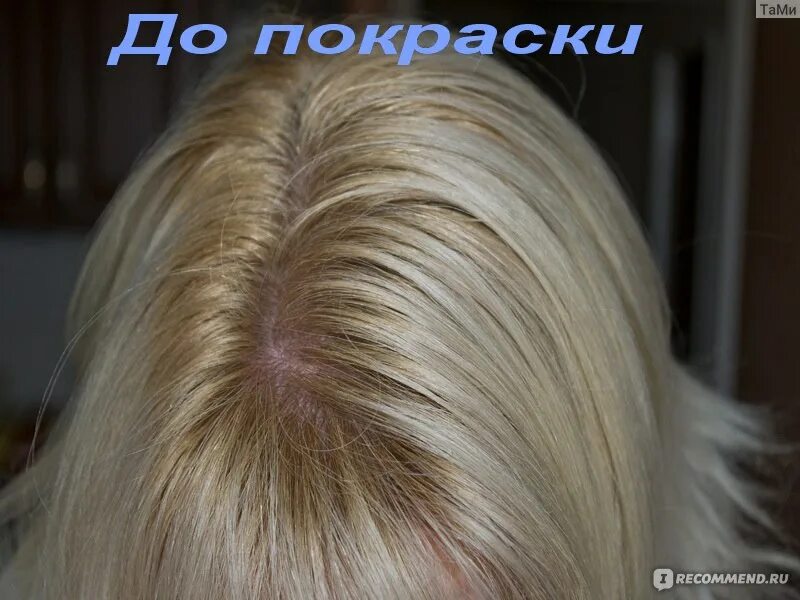 Констант делайт тонирование. Констант делайт 10.41. 9/29 констант делайт. constant delight 10/1. констант делайт 10.41 цвет.