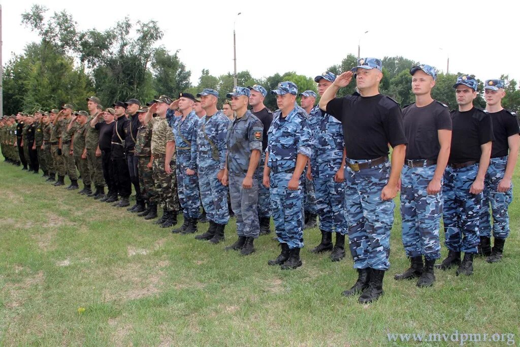Гсин пмр. Гсин пмр