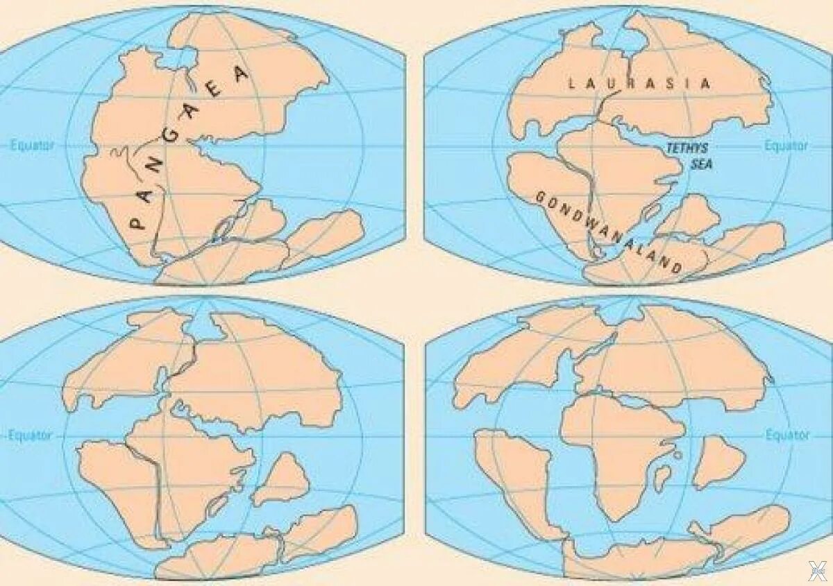 Древний материк Пангея. Пангея Лавразия и Гондвана. Материк Пангея Лавразия Гондвана. Карта древней земли Пангея.