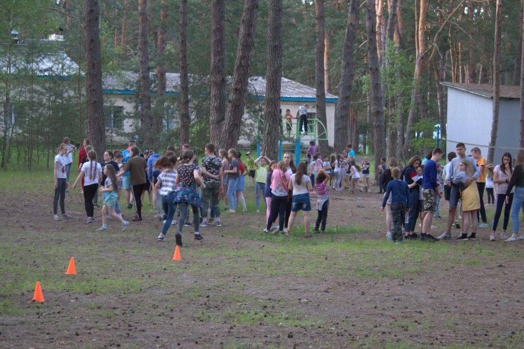 Сайт лагеря калуга. Лагерь белка Мстихино Калуга. Лагерь белка Калужская область. Лагерь Строитель Калужская область Мстихино.