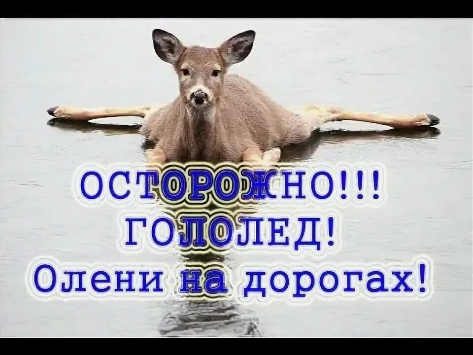 Утром надо быть особенно осторожным. Утро одно неловкое движение и ты. Доброе утро осторожно гололед. Доброе утро гололед. Утром надо быть особенно осторожным одно.