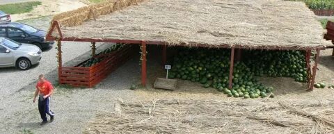 Погода красное грачевский