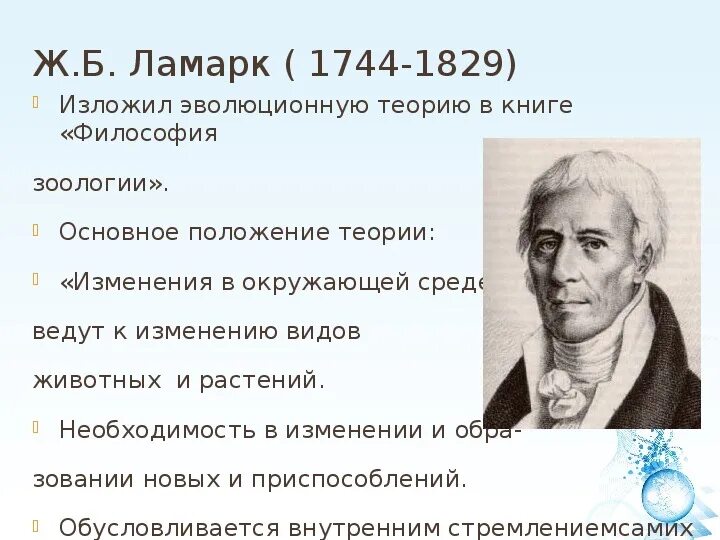 Почему теория ламарка о развитии организмов. Эволюционная теория Ламарка. Основные положения эволюционного учения Ламарка. Основные положения теории эволюции Ламарка. Эволюционная теория ж Ламарка.