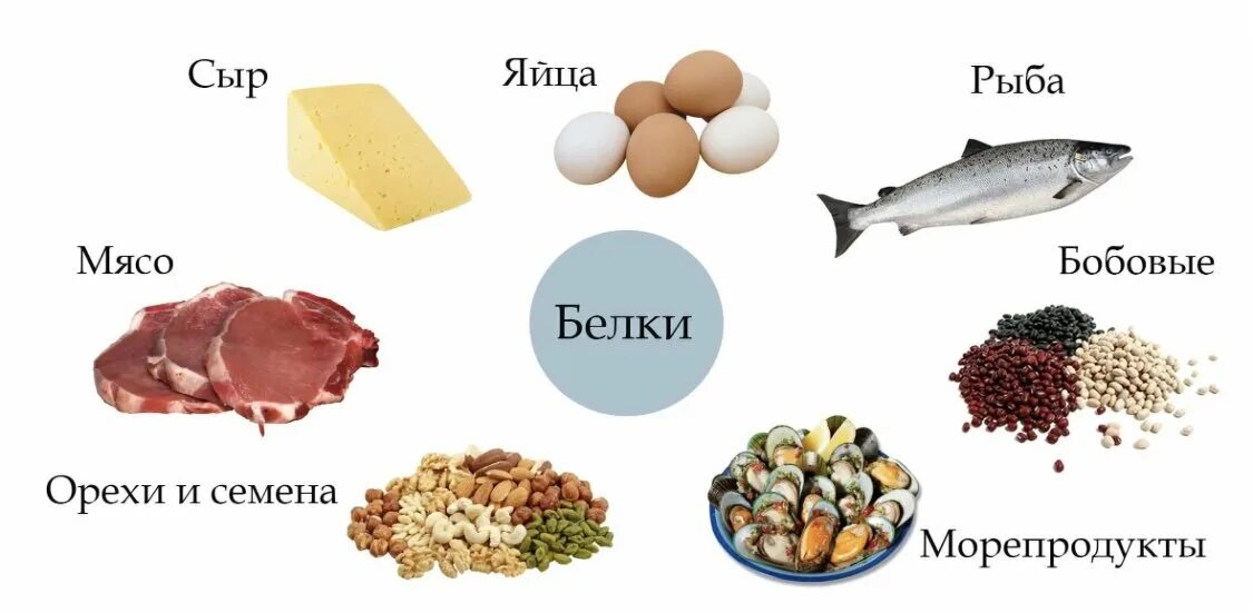 Где содержится белок. В каких продуктов много белка. Питание с высоким содержанием белка. В каких продуктов содержится белки.