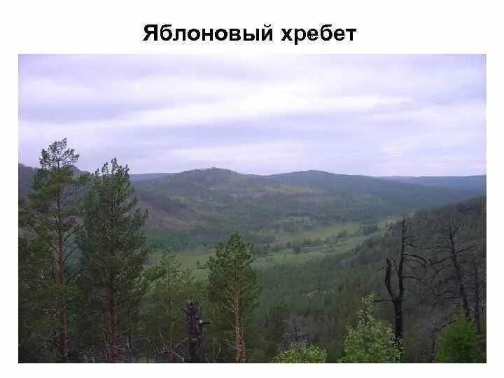 В какую эпоху образовались яблоновый хребет. Яблоновый хребет. яблоновый хребет эпоха складкообразования. наивысшая точка яблоновый хребет.