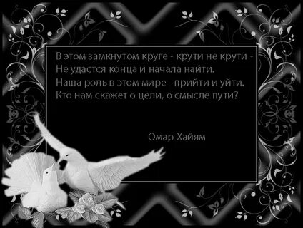 Круг цитаты
