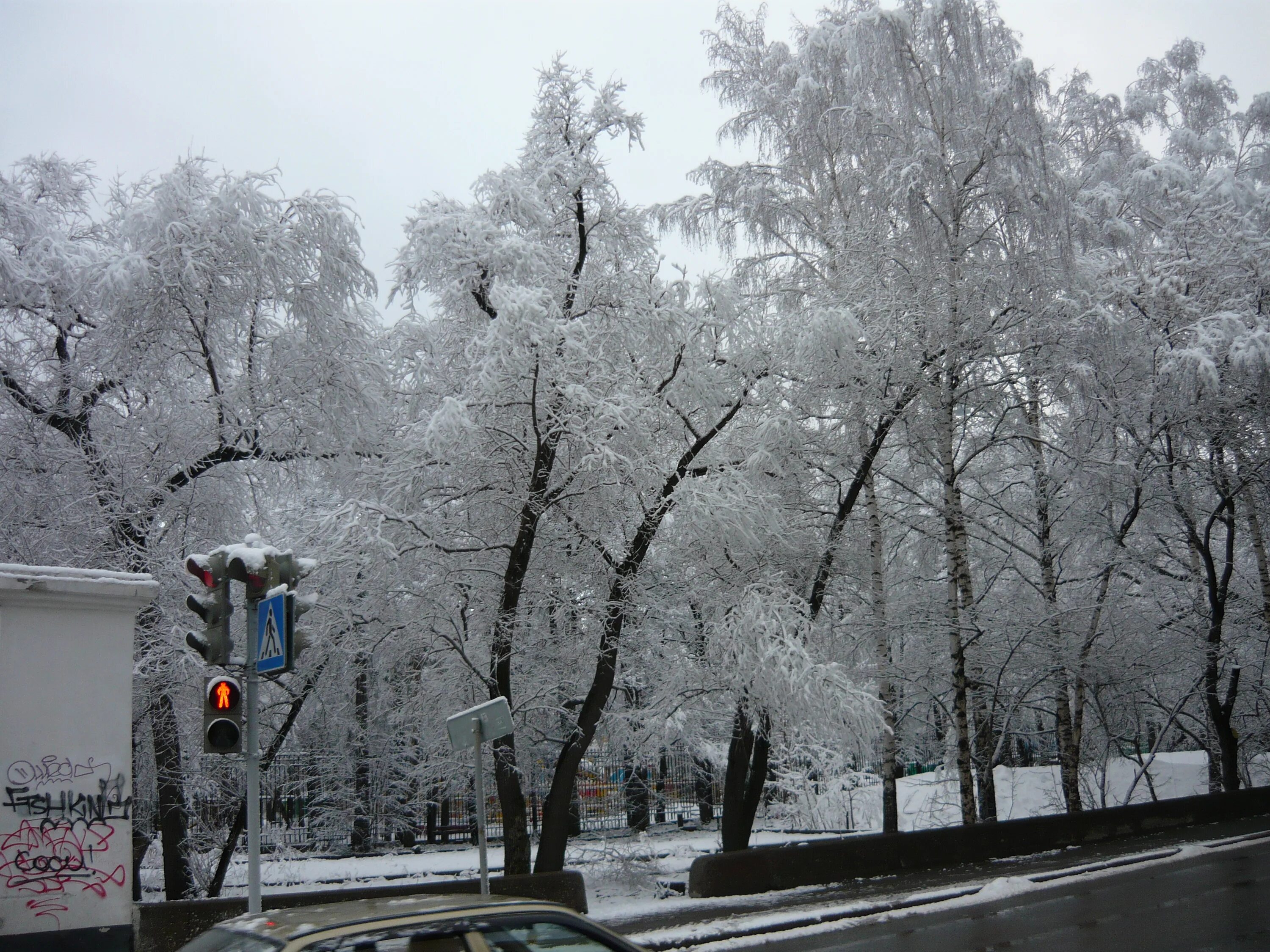 Сколько сегодня снег. Снегопад в Перми. Райский сад зимой. Снегопад апрель 2014. Снег в Ташкенте.