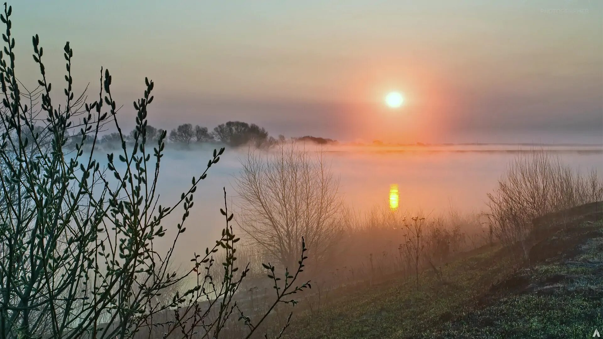 Эх ясная. Ф.К Сологуб Забелелся туман над рекой. Природа рассвет. Весенний рассвет. Рассвет ранней весной.