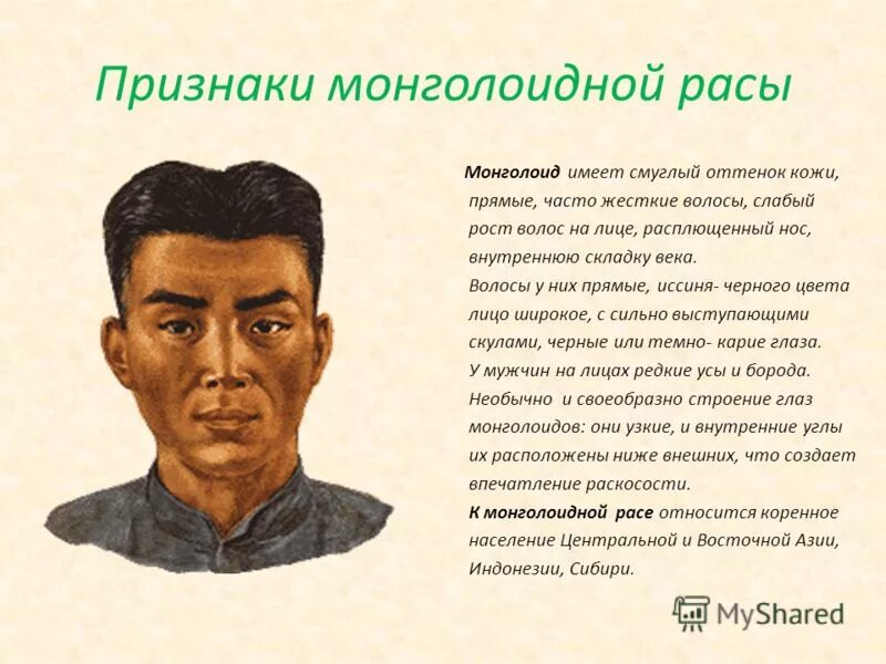 Узкие глаза признак. Монголоидная раса характеристика. Монголоидный антропологический Тип. Характеристика монголоигной рассрасы. Черты монголоидной расы.