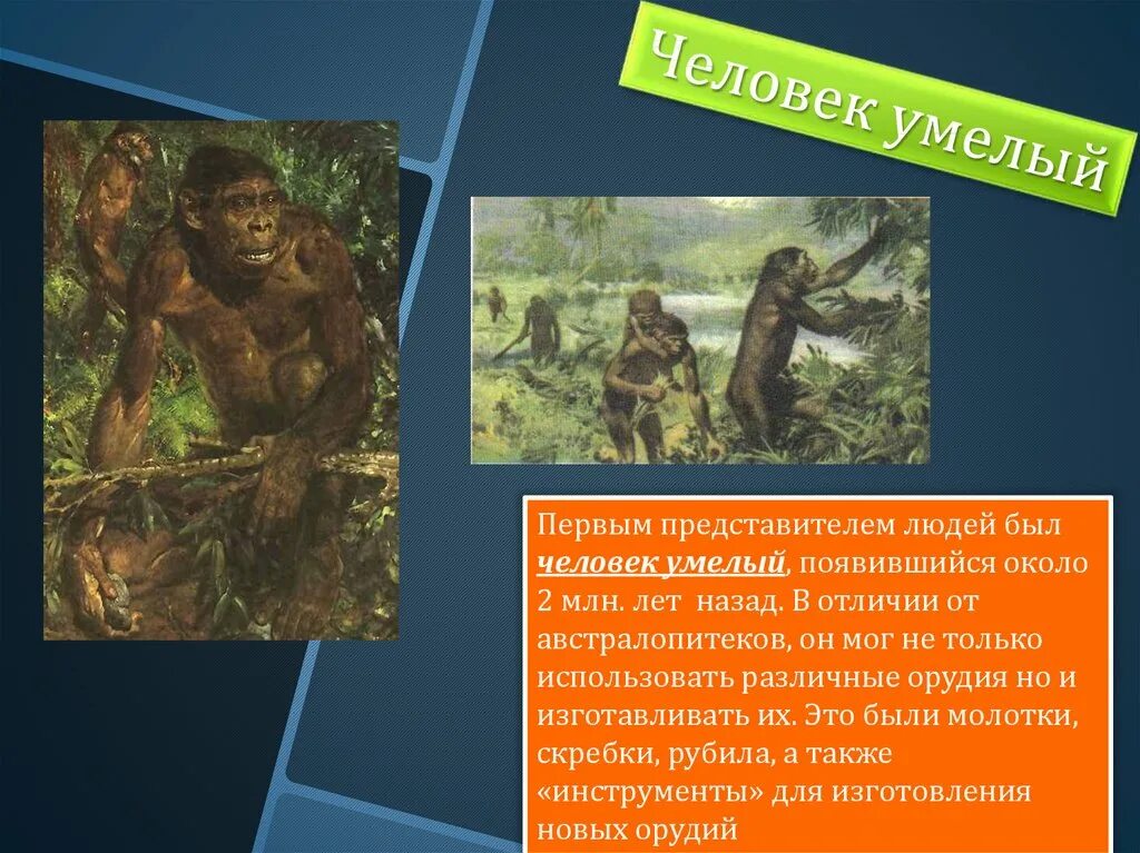 Почему одного из предков назвали человеком умелым. Первые люди на земле появились. Человек умелый. Человек умелый появился. Как появился человек на земле.