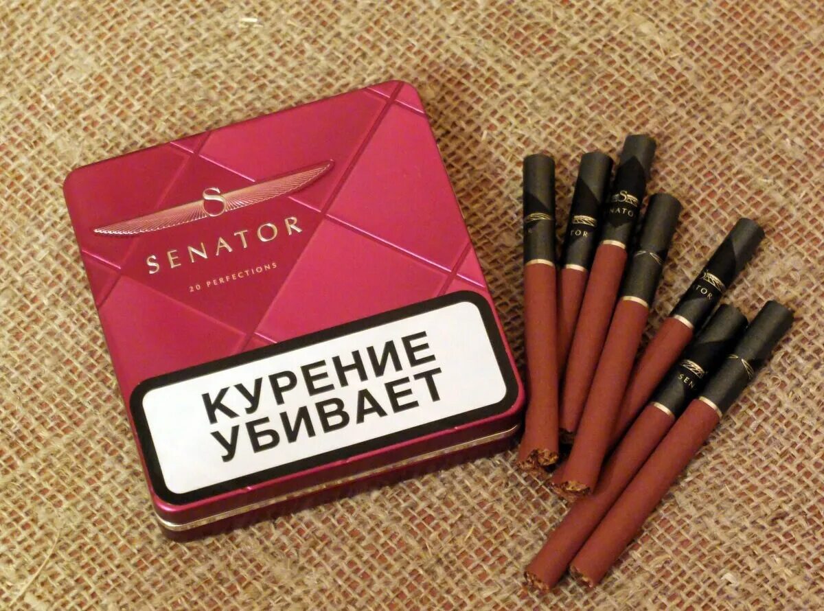 Сенатор читать. Сигареты senator sobranie. сигареты сенатор сильвер. сигареты вишневые сенатор. сигариллы собрание сенатор.