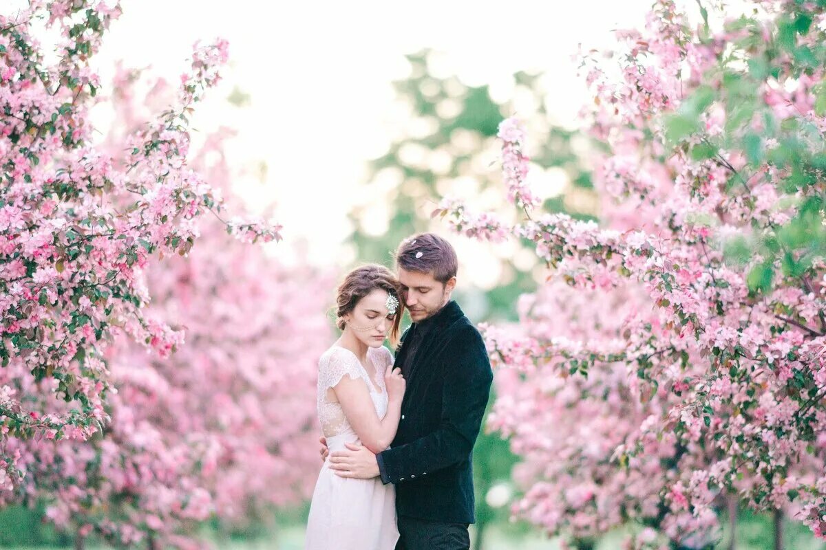Яблоня любовь. Свадьба в цветущем саду. Свадьба весной. Весенняя фотосессия.