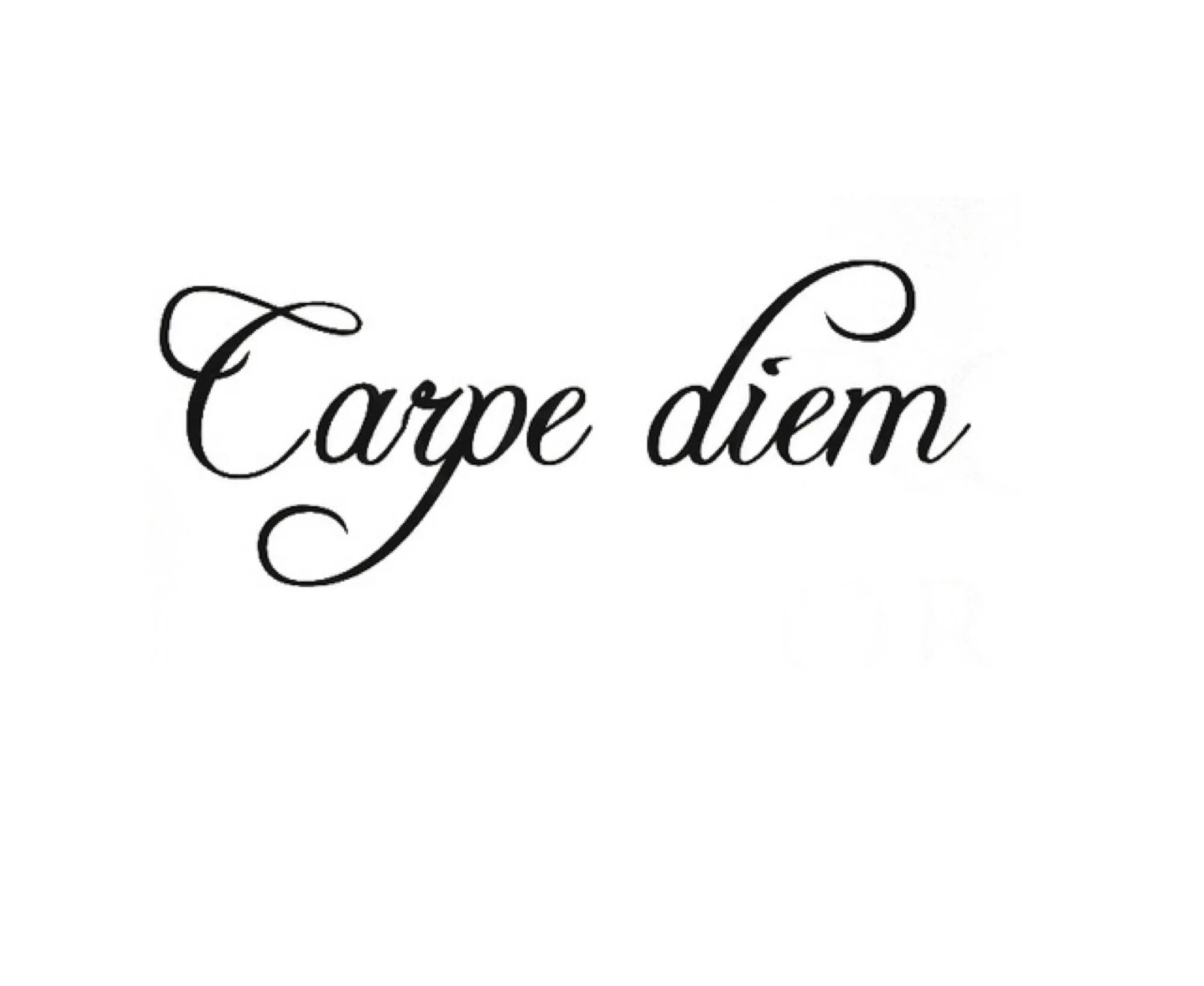 Карпи дием. Эскизы надписи. carpe diem надпись. карпе дием эскиз. карпе дием тату эскиз.