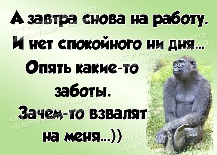 Завтра опять. Завтра на работу прикольные. ВОО И пррлетелр выходные. Вот и выходные пролетели. Открытки с приколом завтра на работу.