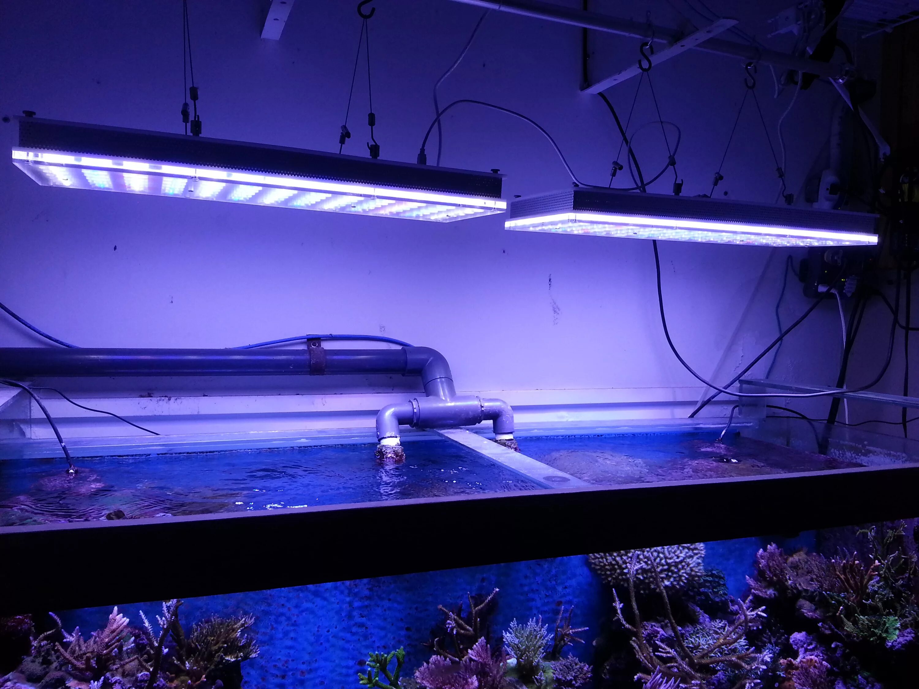 Нужен рыбкам свет ночью. Aquarium led Light ml влагозащита. Подсветка для аквариума. Лампа для аквариума. Светодиодная подсветка для аквариума.