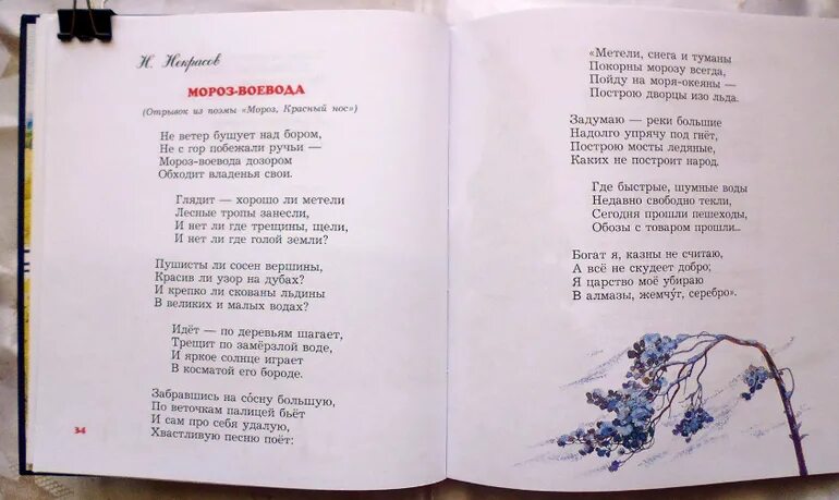 Мороз Воевода стих. Мороз-Воевода Некрасов стих. Стихотворение Некрасова Мороз Воевода. Стих не ветер бушует над бором. Некрасов зимнее стихотворение