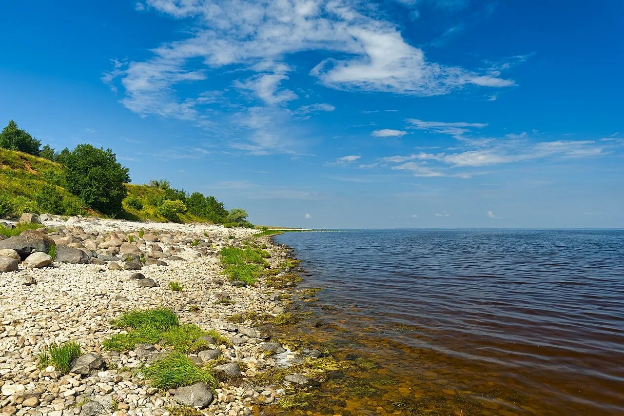 Устрека озеро Ильмень. Озеро Ильмень Коростынь. Озеро Ильмень Великий Новгород. Великий Новгород Ильмень Коростынь. С ильмень озера ребятня возвращалась