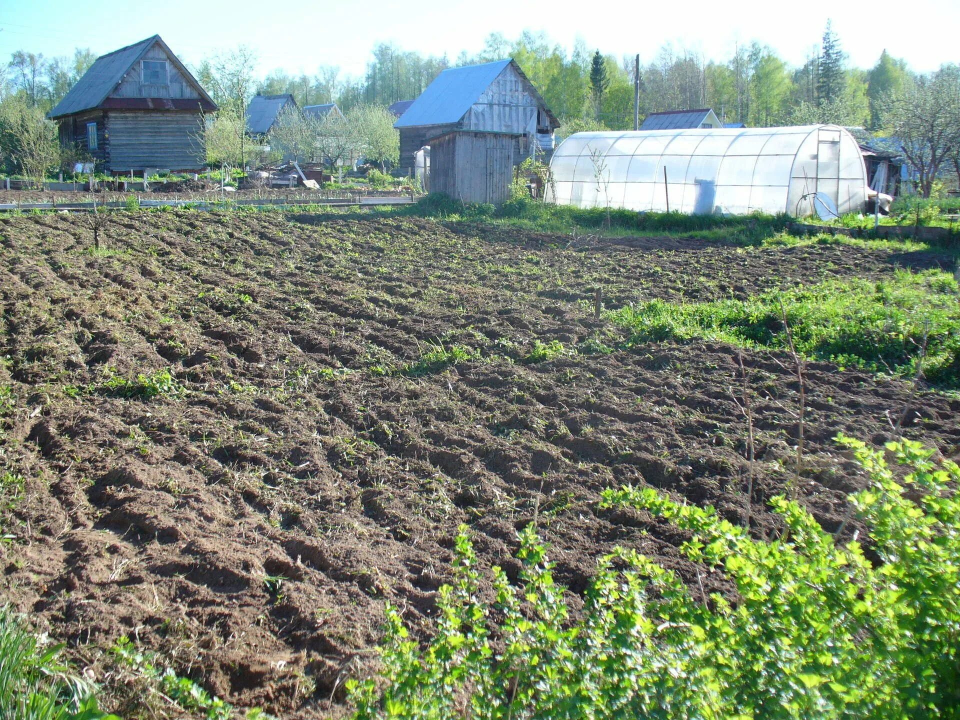 Пашня огорода