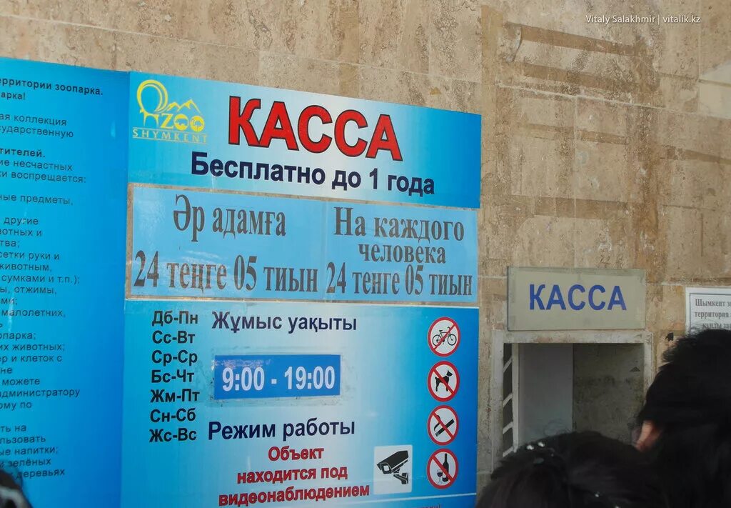 Касса зоопарка