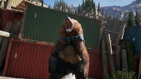 Медведь far cry