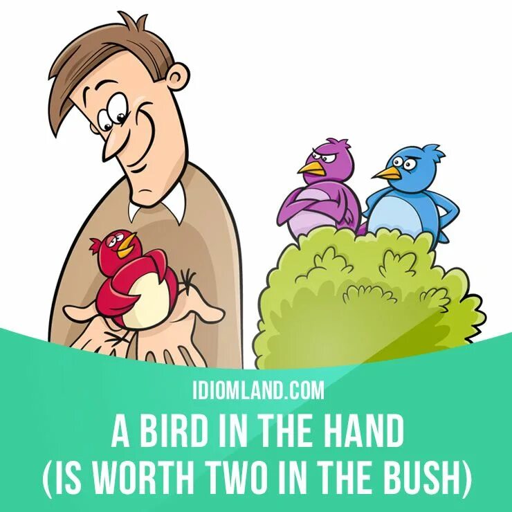 A Bird in the hand is Worth two in the Bush русский эквивалент. A Bird in the Bush пословица. A Bird in the hand. Идиома hand in hand. Bird in hand