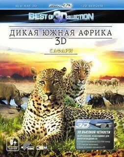 Дикий версия