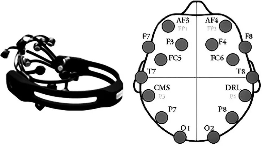 Луки ээг. Многоканальная ЭЭГ система Geodesic EEG System 300 (GES 300). Схема наложения электродов ЭЭГ. Наложение электродов при ЭЭГ. ЭЭГ правильное наложение электродов.