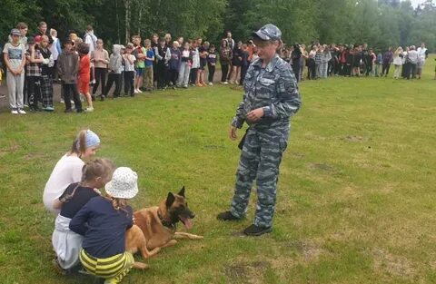 Кинологические лагеря