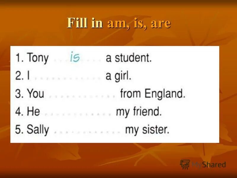 Tony wuelz. Tony coccagna. тони даудесуэлл. тони паркер айлен айверсон. тони гонзалез.