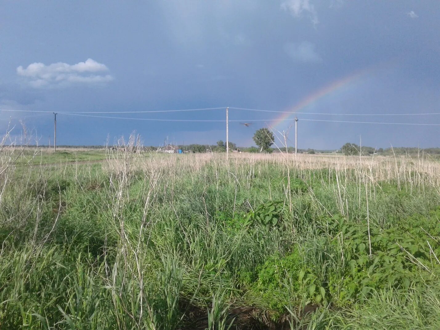 Погода в воздвиженском чулымского района. Село Ужаниха Чулымского района Новосибирской области. Большеникольское Чулымский район Новосибирская область. Озеро Сектинское Новосибирская. Деревня Волково Чулымский район.