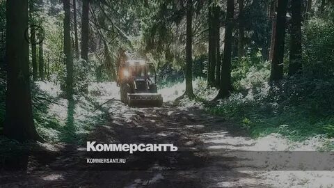 Парк тишино в ижевске