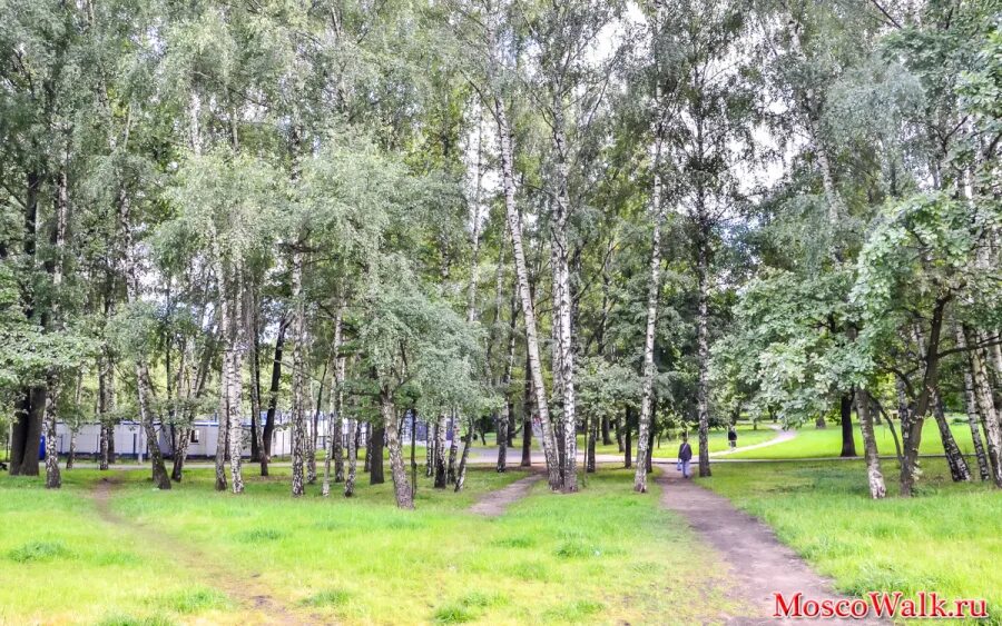 парк северные дубки