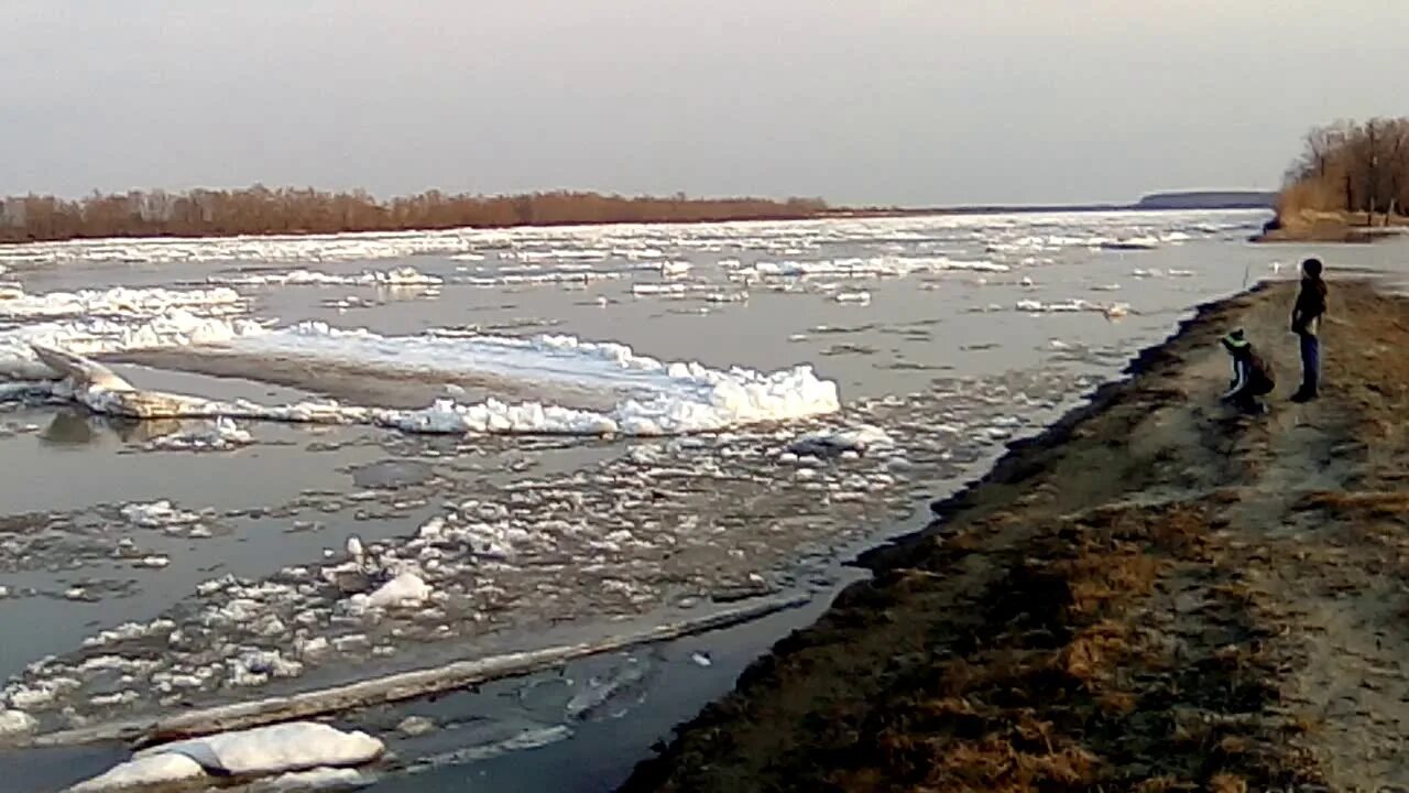 Уровень воды в реке иртыш омск. Иртыш Омск река ледоход. Ледоход на Иртыше 2021. Ледоход на Иртыше. Ледоход Иртыш 2022 Ханты-Мансийск.