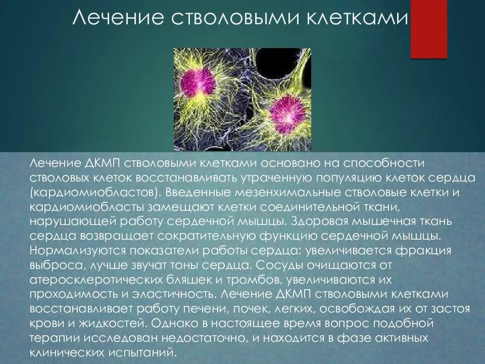 Стволовые клетки печени. Терапия стволовыми клетками. Принципы терапии стволовыми клетками. Клеточная терапия стволовыми клетками. Таблетки стволовые клетки.