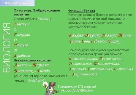 Систематика задания огэ