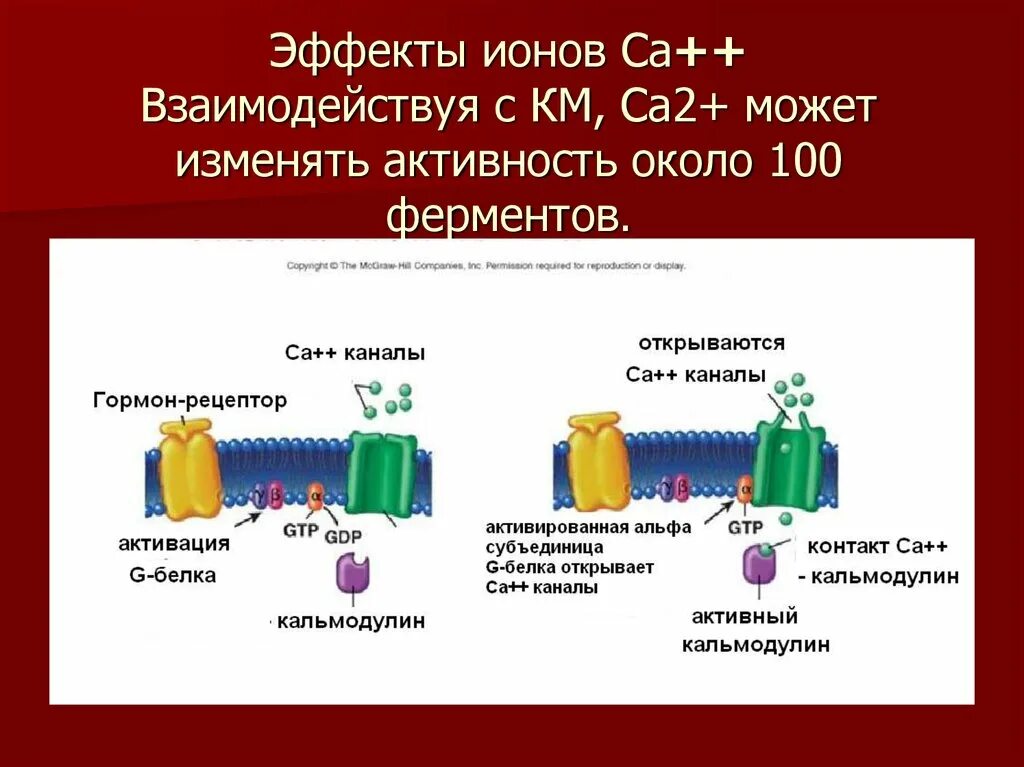 Как получить са