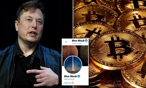 Musk meme криптовалюта