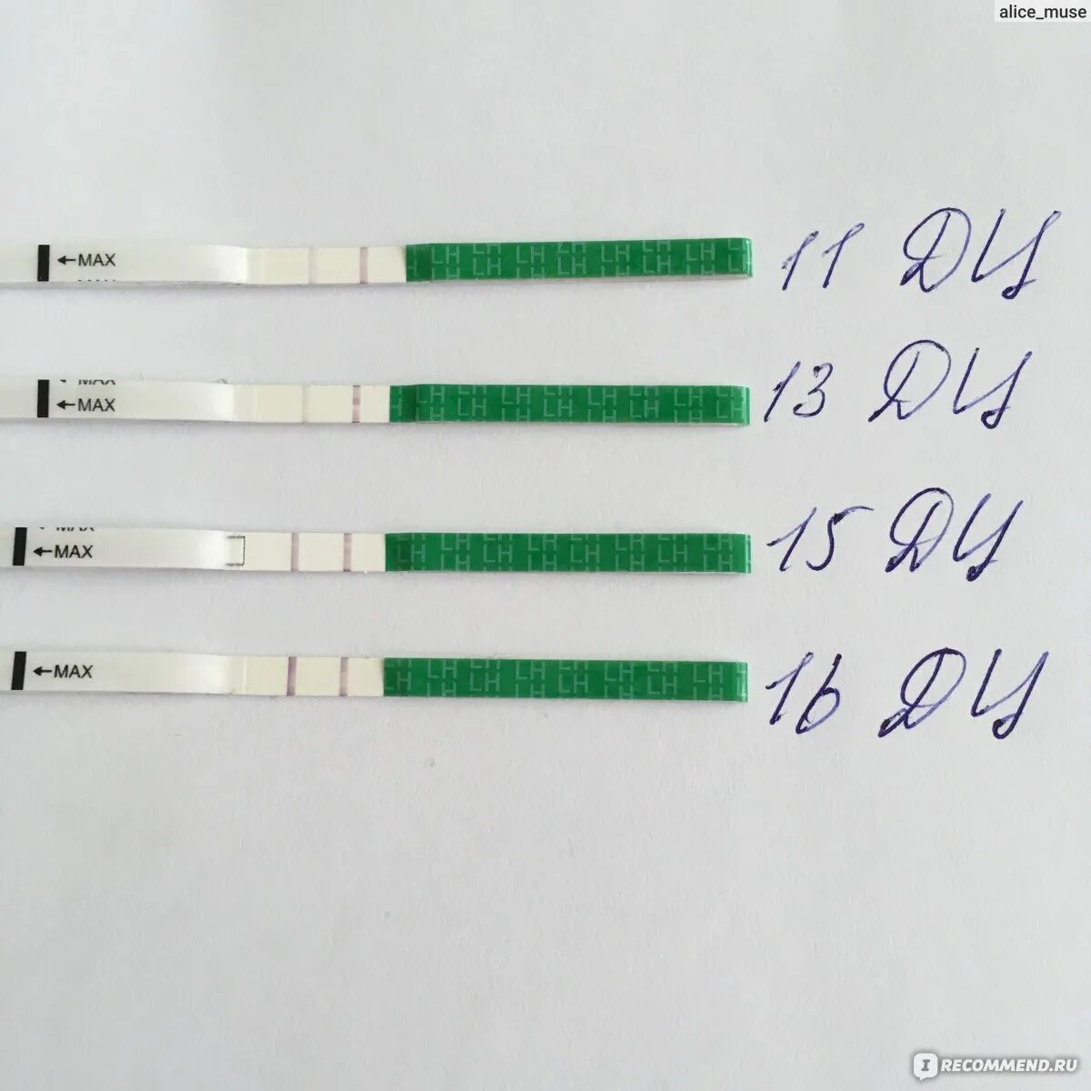 Тест овуляции положителен когда зачатия. Тест полоски на овуляцию. Полоски на овуляцию фраутест. Тест на овуляцию фраутест. Тест на овуляцию тест полоска результат.