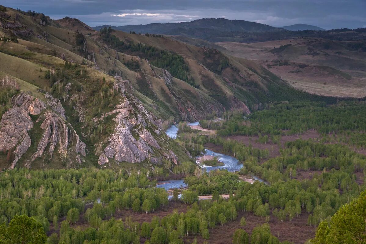 Сколько времени на алтае сейчас. Тигирекского заповедника Алтайский край. Река Иня Алтайский край Краснощековский район. Природа Краснощековского района Алтайского края. Тигирек Алтайский край Краснощековский район.