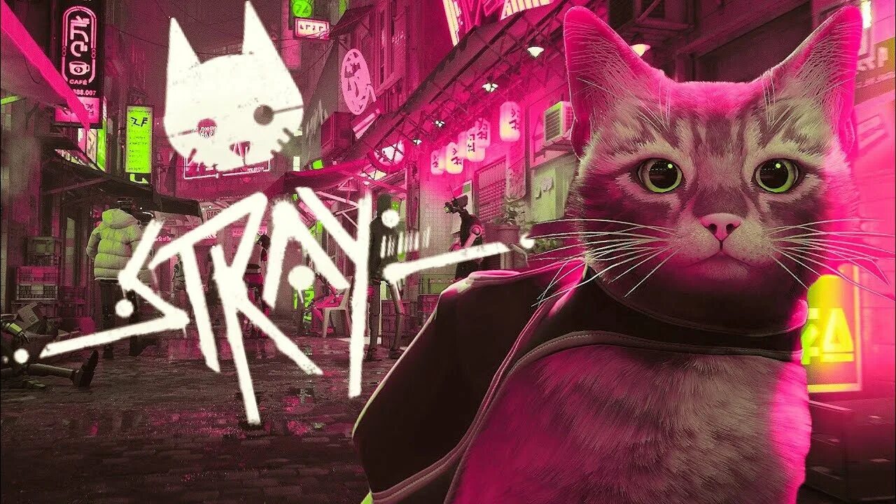 Stray игра 2022. Stray кошачий симулятор. Stray игра про кота. Кот киберпанк. Видео игры cats