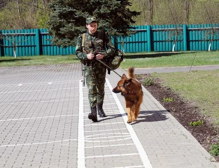 пограничник в наряде. охрана границы. граница пограничный наряд. пограничная служба приднестровья. граница пограничный наряд.
