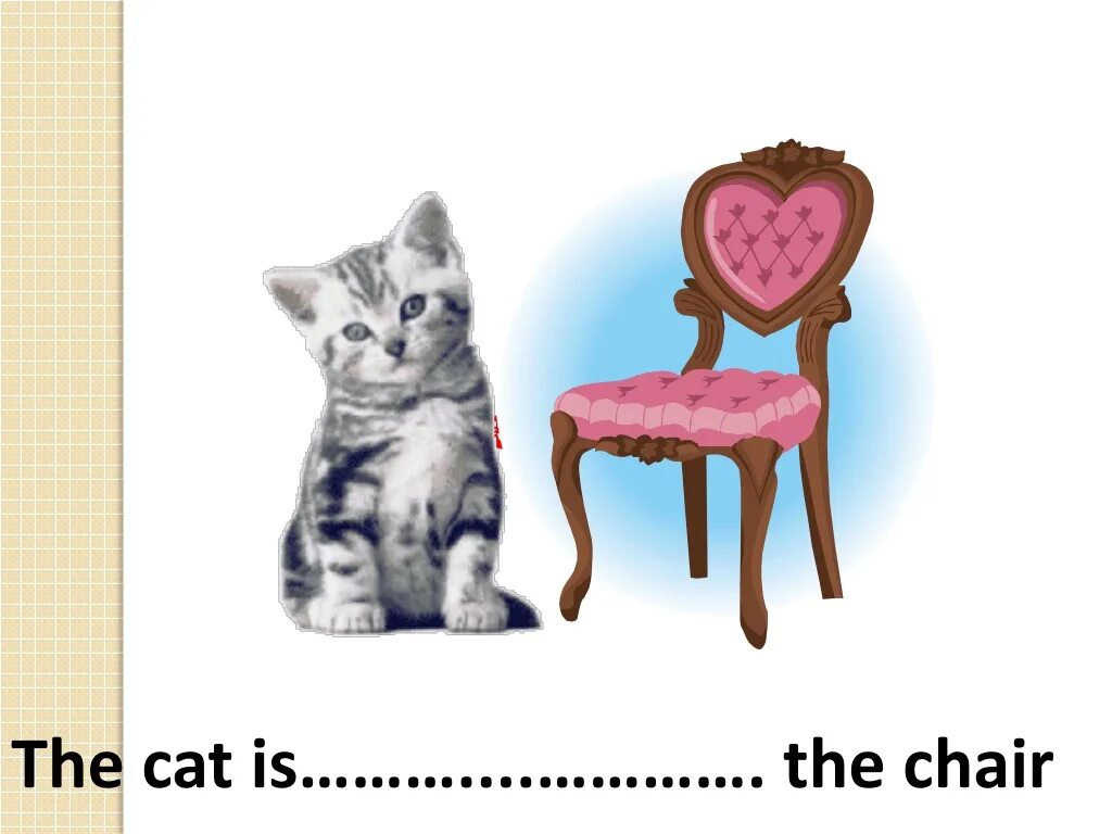 The cat is the chair. The Cat is on the Chair. Cat is in the Chair. Next to the Chair.