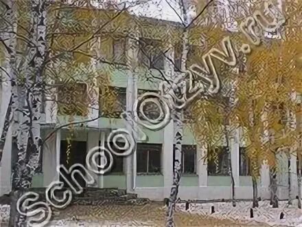 Школа 29 дзержинск нижегородская. Школа 23 дзержинск. Школа 3 дзержинск. Директор школы 29 дзержинск. Школа 1 дзержинск.