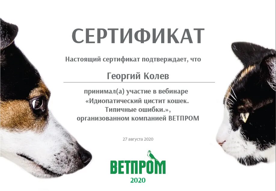 Мордас елена викторовна. Вебинар. Ветеринарный нефролог москва. Вебинары по ветеринарии. Мария вольфсон вебинар.